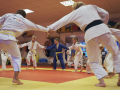Kolektivní-hry-v-judo-Akademie-Šampion